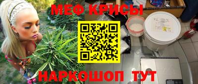 индика Дубна