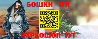 индика Дубна