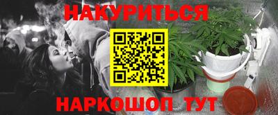 индика Дубна