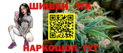 индика Дубна