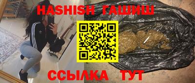 индика Дубна