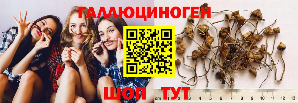 Галлюциногенные грибы Psilocybine cubensis  Вход с VPN  Галлюциногенные грибы прущие грибы  наркошоп  Муравленко 